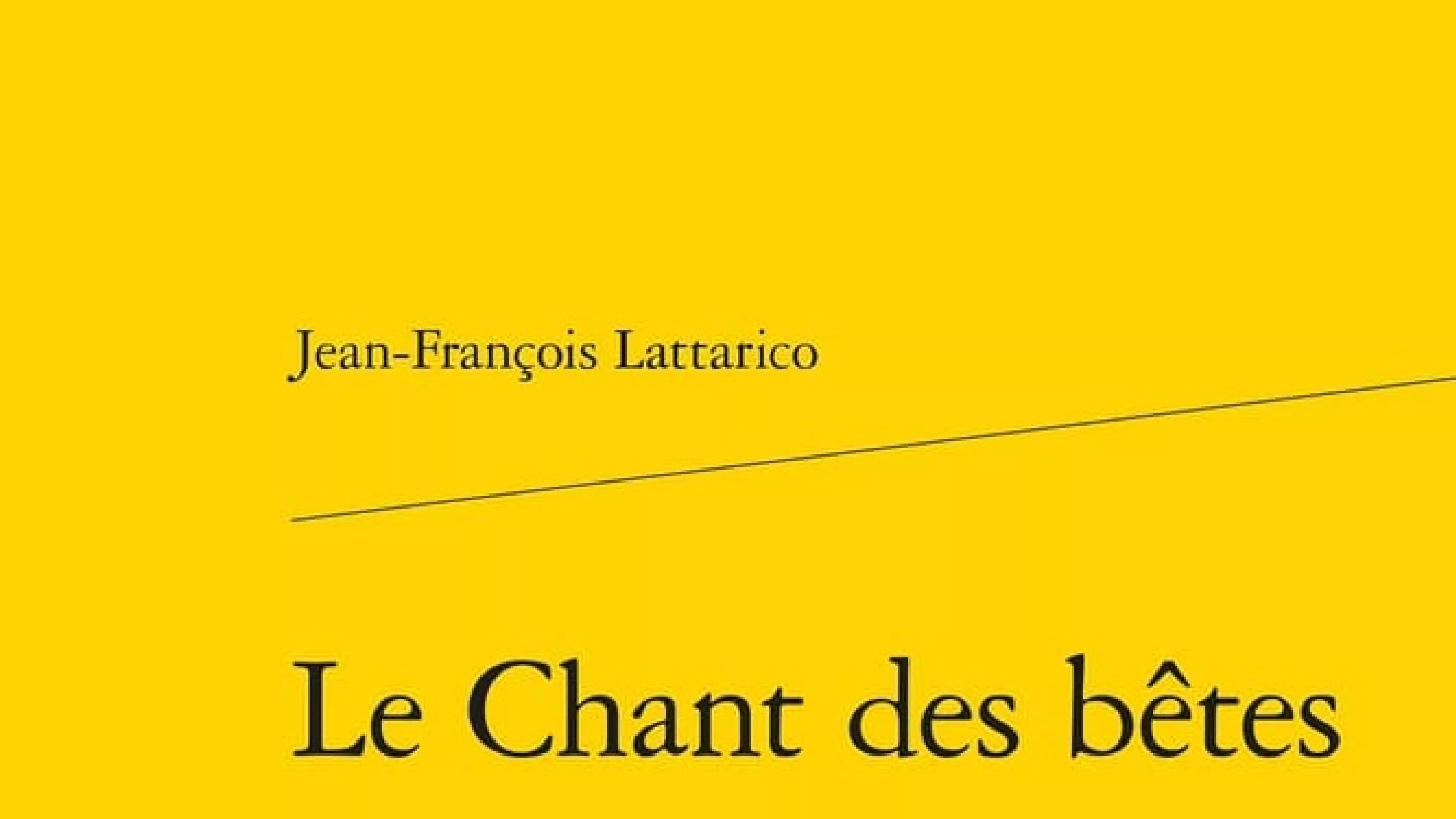 Bouledogues et pachydermes, fourmis et dinosaures